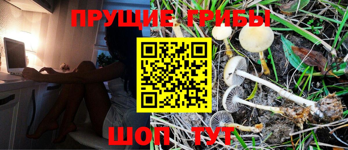 Галлюциногенные грибы Psilocybine cubensis Ревда