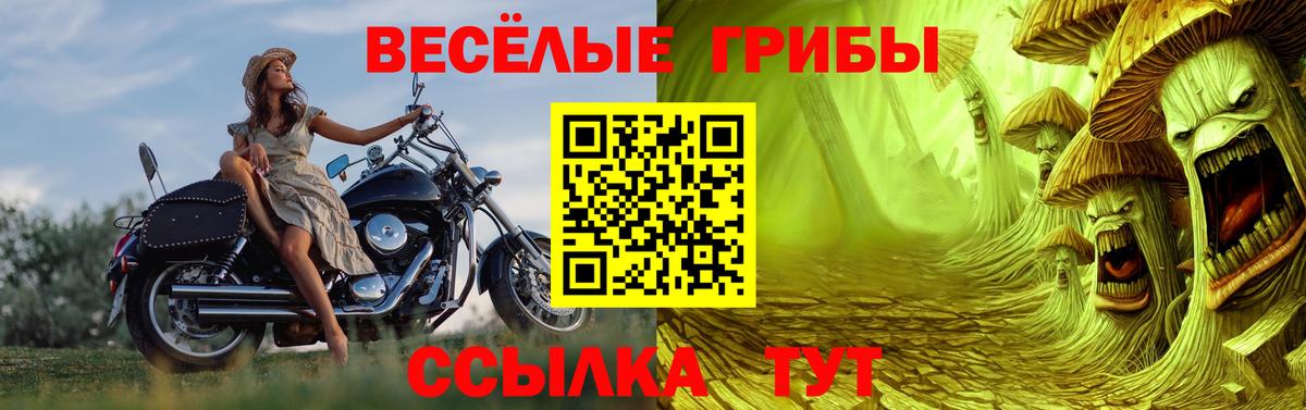 Ревда  Галлюциногенные грибы Psilocybine cubensis  Вход с VPN 